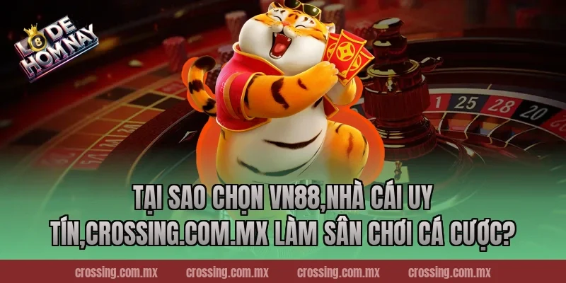 Tại sao chọn VN88,Nhà Cái Uy Tín,ageware.io làm sân chơi cá cược?